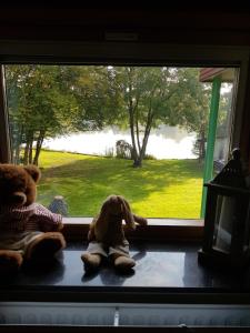 Appartements Gite des etangs de Saint Bale : photos des chambres