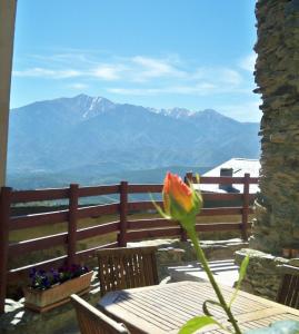 Ferienhaus Gite Canigou Jujols Frankreich