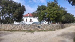 House Soni - 800 m from the sea