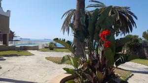 Estrena loft en el mejor sitio de Tarragona