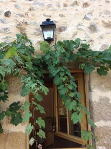 Maisons de vacances Gite Des Vergnes : photos des chambres