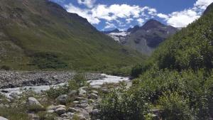 Appartements Studio Avrieux : photos des chambres