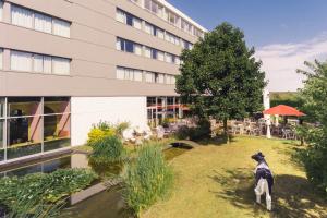 Hotels Mercure Lyon Genas Eurexpo : photos des chambres