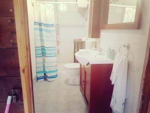 La Dolce Vita Country House with pool - Solicchiata