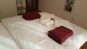 Iris Downtown Apartment no. 1