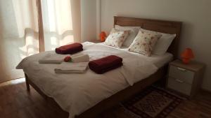 Iris Downtown Apartment no. 1