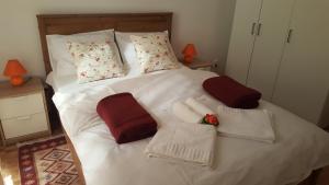 Iris Downtown Apartment no. 1