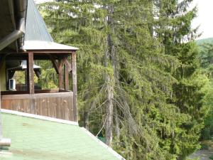 Junior Suite with Balcony room in Park Hotel Kyoshkove
