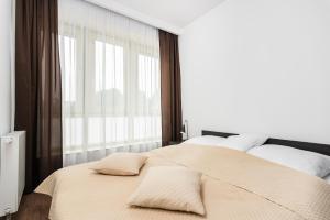 Apartamenty Krakoin