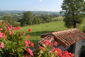 B&B / Chambres d'hotes Chez Jacotte et Elia : Chambre Lits Jumeaux