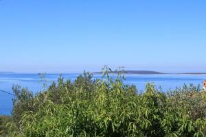 Three-Bedroom Holiday Home  room in Seaside holiday house Miholascica Cres - 8073