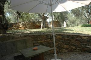 Gera's Olive Grove - Elaionas tis Geras Lesvos Greece