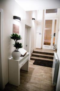 Le Suite del Dormiglione