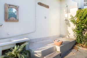 Follow the Sun img19