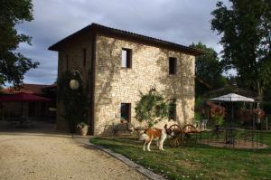 Auberge les Tables du Ban photo 24