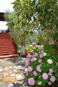 Hotel Maria Thassos Greece