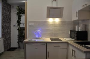 Apartament centrum Lawendowy