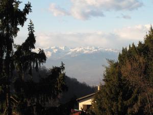 Hotel Pino Torinese Pino Torinese Offerte Speciali - 