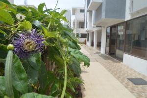 Blackroots Serviced Apartments