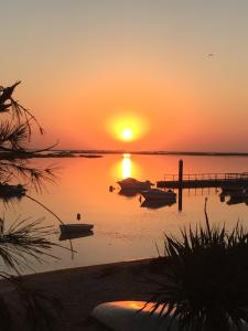 Apartamentos Barracuda