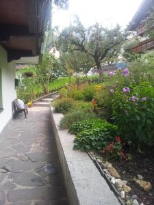 Appartements Alpenblick