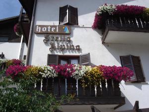 Hotel Stella Alpina