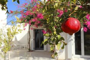 Seven Santa Maria Paros Greece