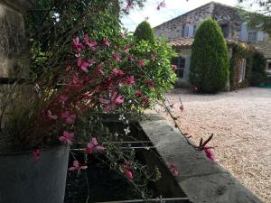 Maisons de vacances Le mazet du chateau : photos des chambres