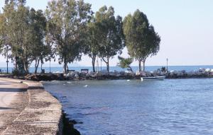 Villa Markos Achaia Greece