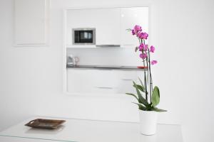 Apartamentos Gama