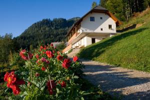 Turistična kmetija Perk 