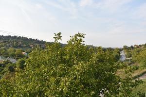 Deluxe Double Room (2 Adults + 1 Child) room in Fruškogorska Terasa