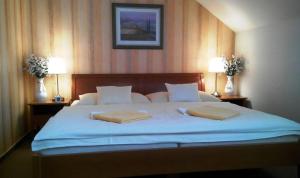Standard Single Room room in Pension U Labe