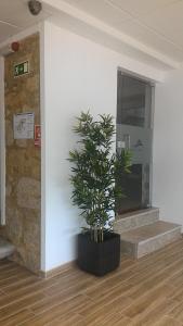 Hotel Solar das Laranjeiras