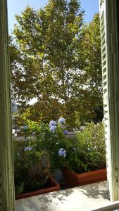 Appartements By Gwen - le Jaures : photos des chambres