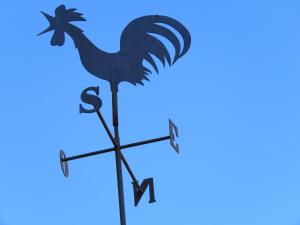 B&B / Chambres d'hotes Les Buis de Lussan : photos des chambres