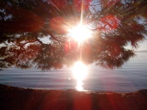 Apartman Robertino 1966