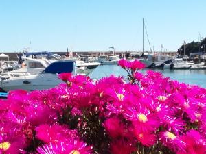 Apartmán Casa Mara Santa Marinella Itálie