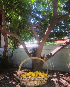 Patmos Villas Patmos Greece