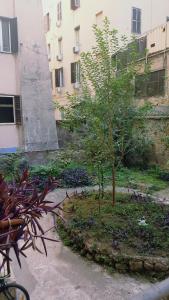 Marcelina vaticans rooms