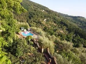 Holiday Home Bel Panorama Due - فالومبروسا