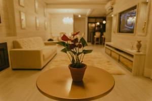 Altos da Bela Vista Gramado centro locação de temporada