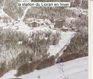 Appartements Vacances au pied des Monts du Cantal : photos des chambres