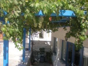 Hotel Rea Naxos Greece