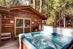 41A Cedar Chalet - North Wawona