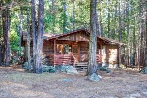 4 Pine Creek Cabin - North Wawona
