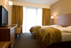 Deluxe Double or Twin Room with Balcony and Aquapark Included room in Bohinj Eco Hotel
