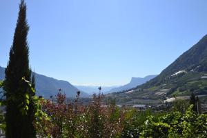 Appartamento Monolocale