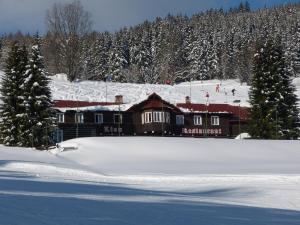 3 star pensionas Penzion Lion Pecas prie Snežkos Čekija