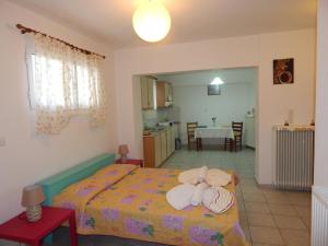 Small studio near the center of Tripoli Arkadia Greece